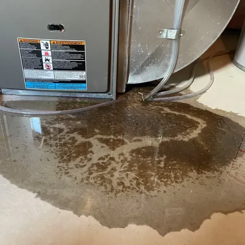 Appliance Leak Cleanup in Morganville, NJ